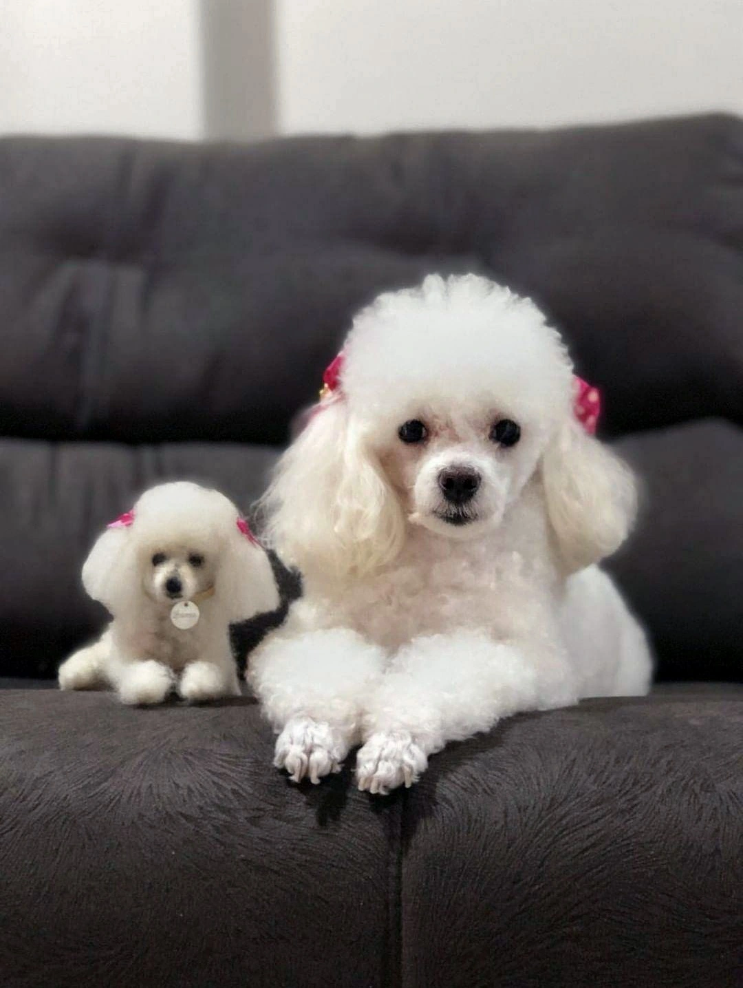 Miniatura 3D - Família